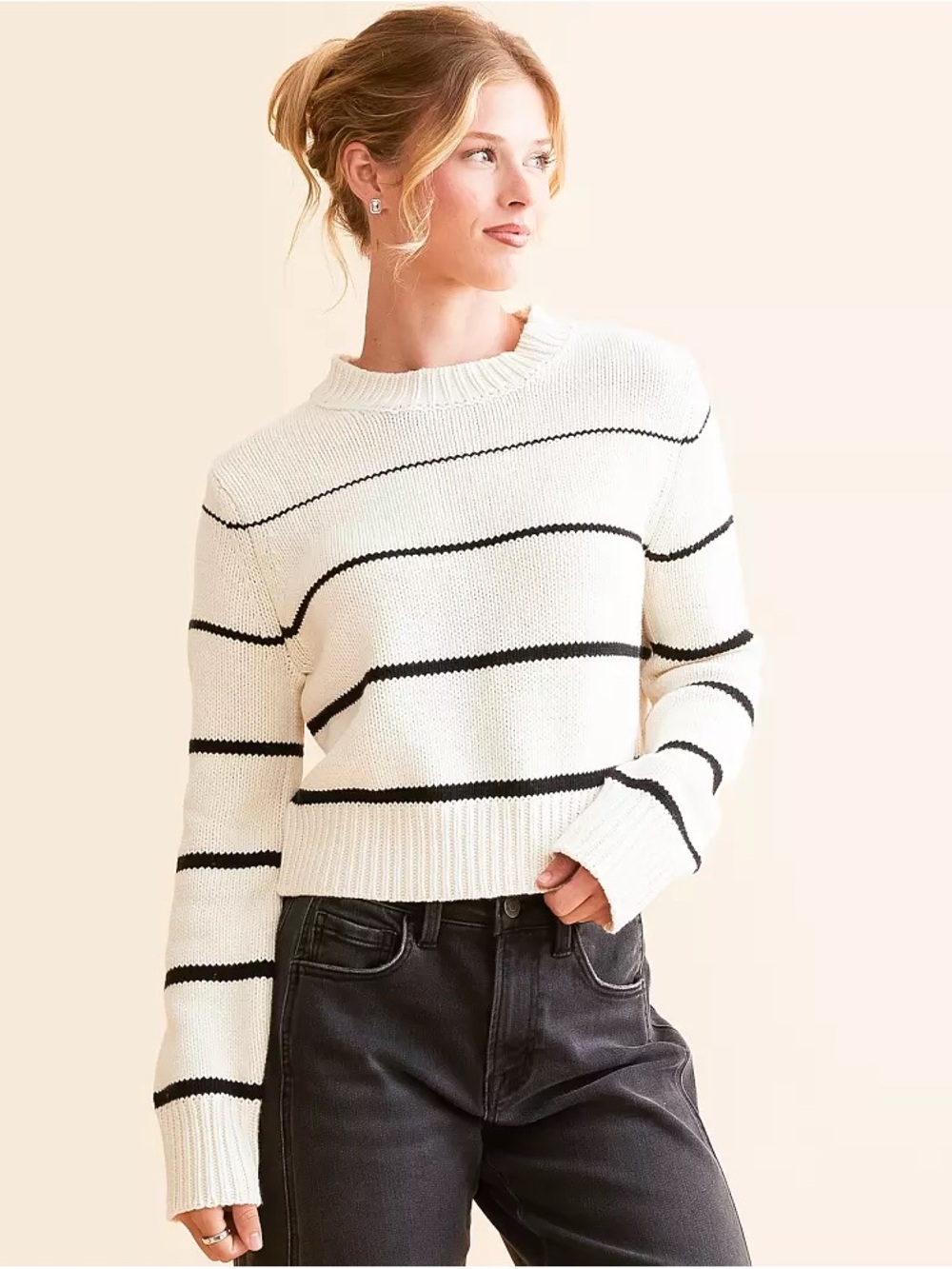 Z Supply Milan Cream & Black Striped Crewneck Sweater